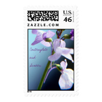 Contemplate postage