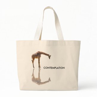 CONTEMPLATION bag