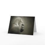 Contemplation Cards