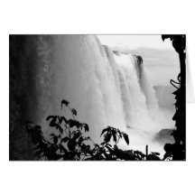 Contemplation Greeting Card