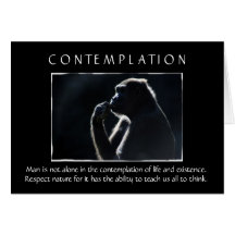 Contemplation Greeting Card