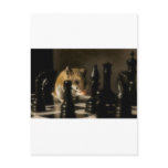 Contemplation Post Card