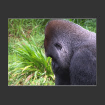 Contemplation postcards by dduhaime55 Contemplation postcards
