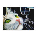 Contemplation postcards