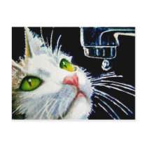 Contemplation postcards