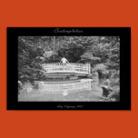 koi, pond, emotional, calm, man, black, white,