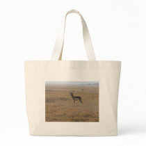 Contemplative Antelope bags