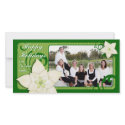 Contemporary Holiday Poinsettia photo cards by NicChic Contemporary Holiday Poinsettia photo cards