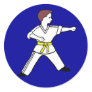Contemporary Karate Kid 11 blue stickers