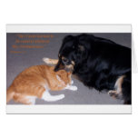 Content Note Card