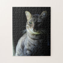 Contented Cat Puzzle puzzles