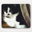 Contented Kitty mousepads