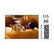 Contented Kitty postage