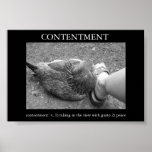 Contentment Poster