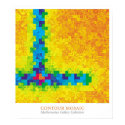 Contour Mosaic posters