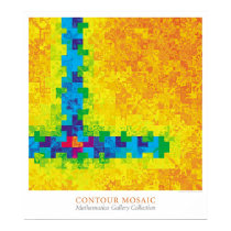 Contour Mosaic posters