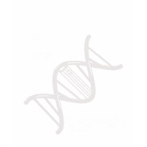 Contrabassoon Is In My Genes! Tshirts