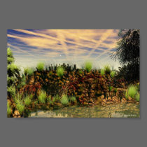Contrails