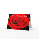 contrast rose, Happy Valentine's Day cards