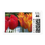 Contrasting Colors Postage Stamp