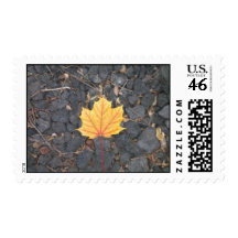 Contrasting Leaf-stamps