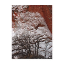 Contrasts of Nature, JLH Postcard