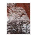 Contrasts of Nature, JLH Postcard
