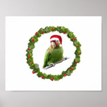 Conure Christmas Wreath @ Posters