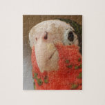 Conure Jigsaw Puzzle