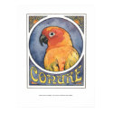 Conure Nouveau posters by itsupintheairart Conure Nouveau posters