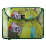 Conure Parrot 13" MacBook Sleeve MacBook Pro Sleeves