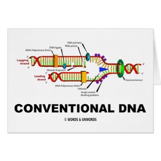 Conventional DNA (DNA Replication) card