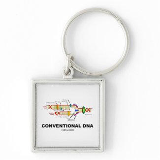 Conventional DNA (DNA Replication) keychain