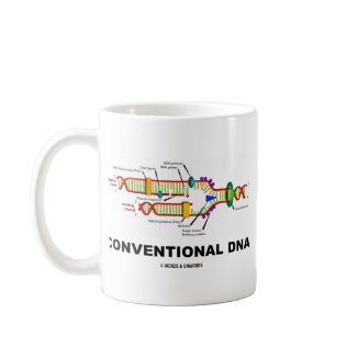 Conventional DNA (DNA Replication) mug