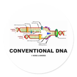 Conventional DNA (DNA Replication) sticker