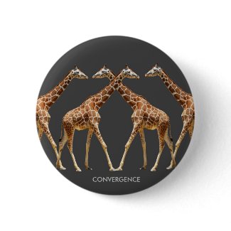 CONVERGENCE button