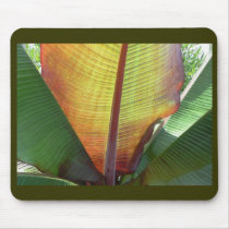 conversation mousepads