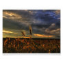 Conversation with the wind art photo