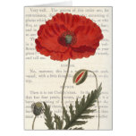Conversations on Botany - The Common Poppy Greeting Cards