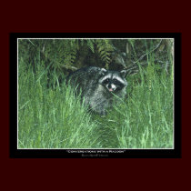 "CONVERSATIONS with a RACCOON" Art Print by RavenSpiritPrints "CONVERSATIONS with a RACCOON" Art Print