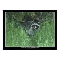 "CONVERSATIONS with a RACCOON" Art Print