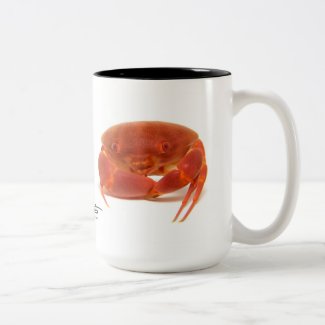 Convex Crab, Carpilius convexus Two-Tone Coffee Mug