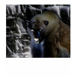 Convex Polar Bear t-shirts