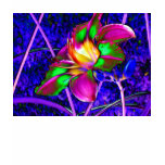Convex Tropical Flower by KLM t-shirts