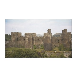 Conwy castle Canvas zazzle_wrappedcanvas