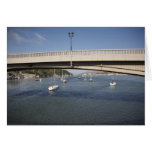 Conwy road bridge. cards
