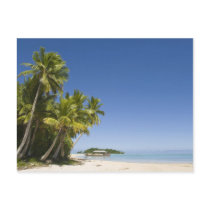 Cook Islands, Aitutaki. Polynesian canoe tour to