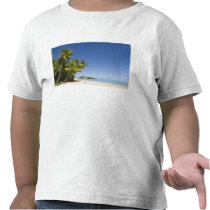 Cook Islands, Aitutaki. Polynesian canoe tour to T Shirts