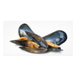 cooked mussels over white photo greeting card
