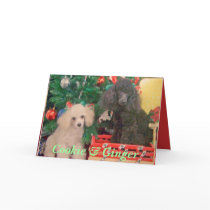 Cookie & Ginger Celebrate Christmas cards